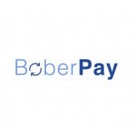 Отзывы о компании BoberPay обменник валют