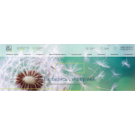 Отзывы о франшизе https://www.labquest.ru Медицинская лаборатория LabQuest