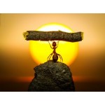 Положительный отзыв Компания СамГруз