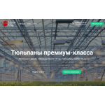 Отзывы об интернет-магазине https://tulpan-king.ru