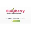 Осторожно мошенники!! blberry.ru