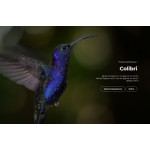 Осторожно мошенники!! colibri-biz.com