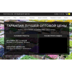 Осторожно мошенники!! Цветторг Tsvettorg.com - мошенники!