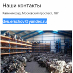 Осторожно мошенники!! dvs-m.ru