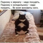 Осторожно мошенники!! PROFI