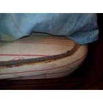 Положительный отзыв Санобработка Тольятти Чистый город