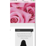 Отрицательный отзыв Sestram.com