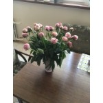 Отрицательный отзыв Моспион (https://mospion.ru/)