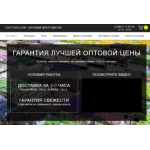 Положительный отзыв Tsvettorg.com - оптовый центр цветов.